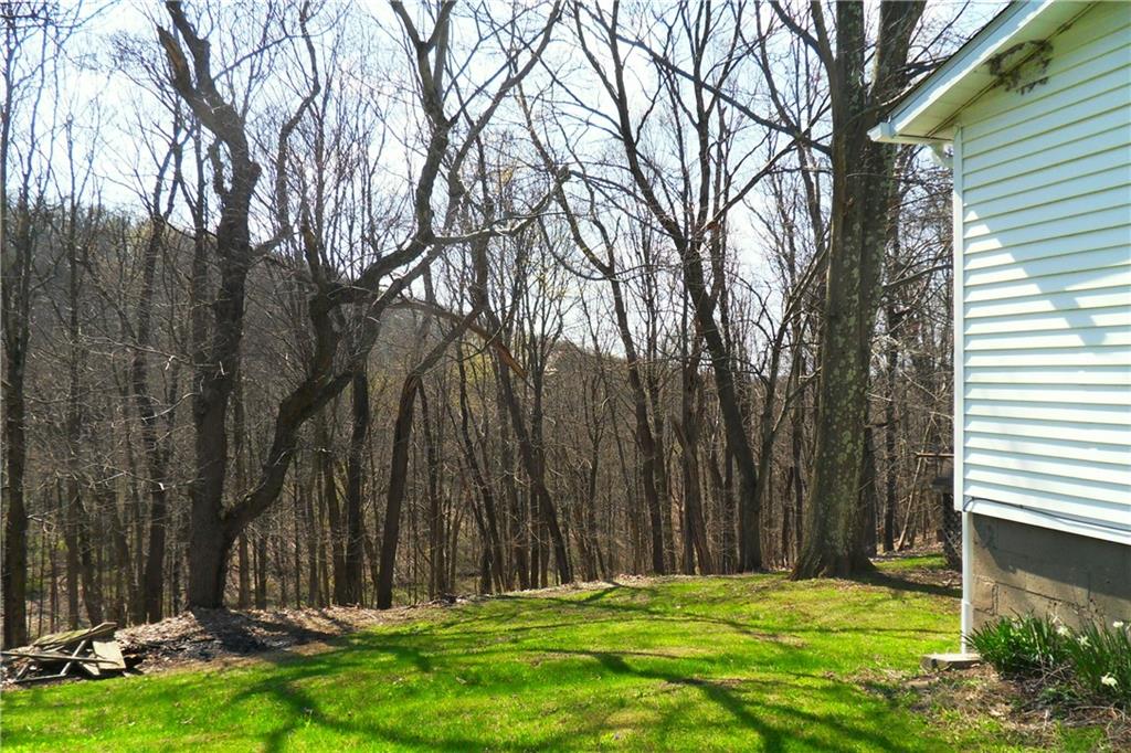 3722 North Balsiger Road Vandergrift, PA 15690 - Photo 5 of 18 a view of backyard with a garden and trees