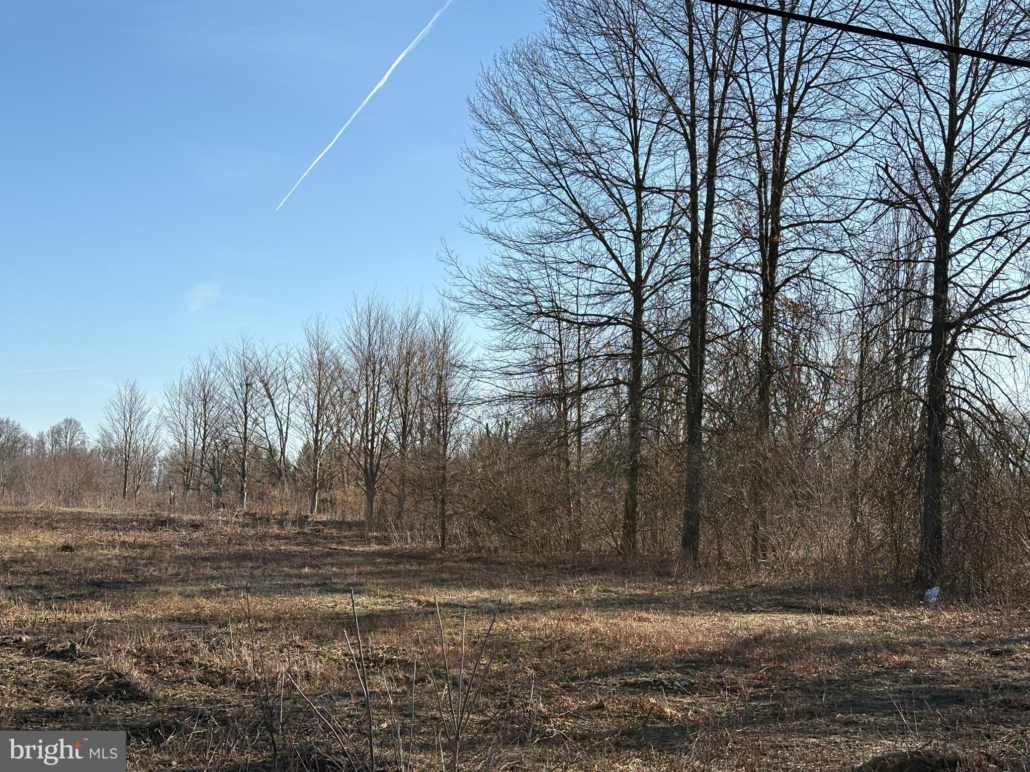 White Pine Road Chesterfield, NJ 08515 - Photo 8 of 10