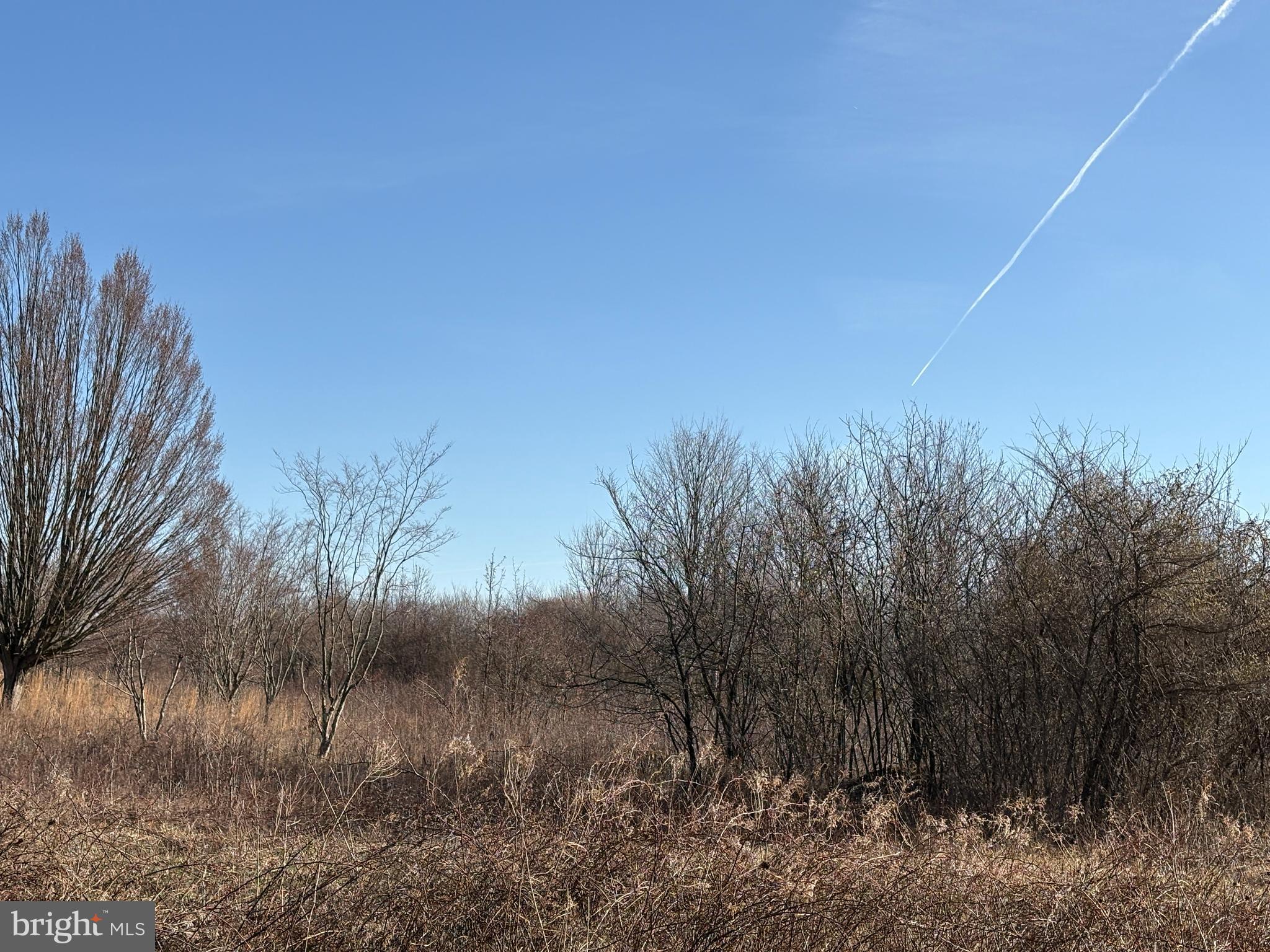 White Pine Road Chesterfield, NJ 08515 - Photo 9 of 10