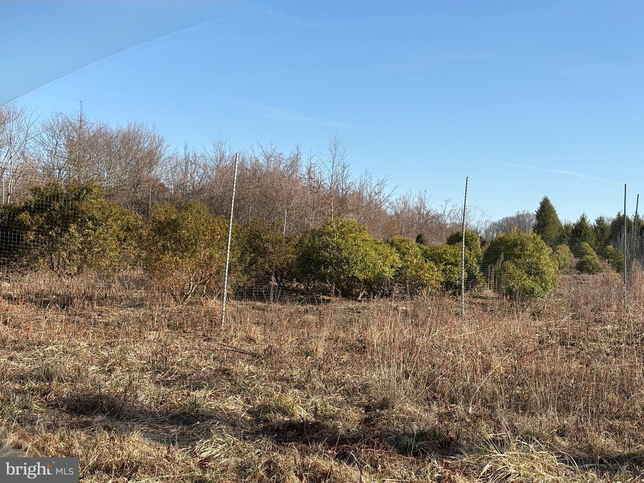 White Pine Road Chesterfield, NJ 08515 - Photo 10 of 10