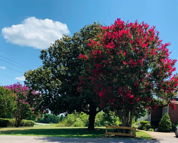 $410,000 | 1818 Burnt Chimney Road, Wirtz, VA 24184