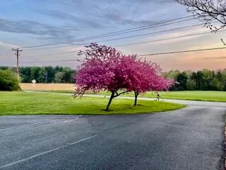 $410,000 | 1818 Burnt Chimney Road, Wirtz, VA 24184