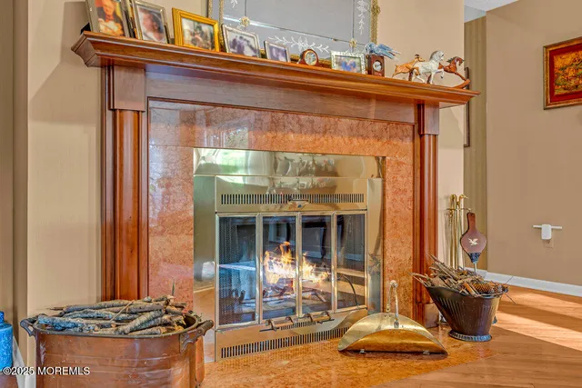 a view of a garden with plants