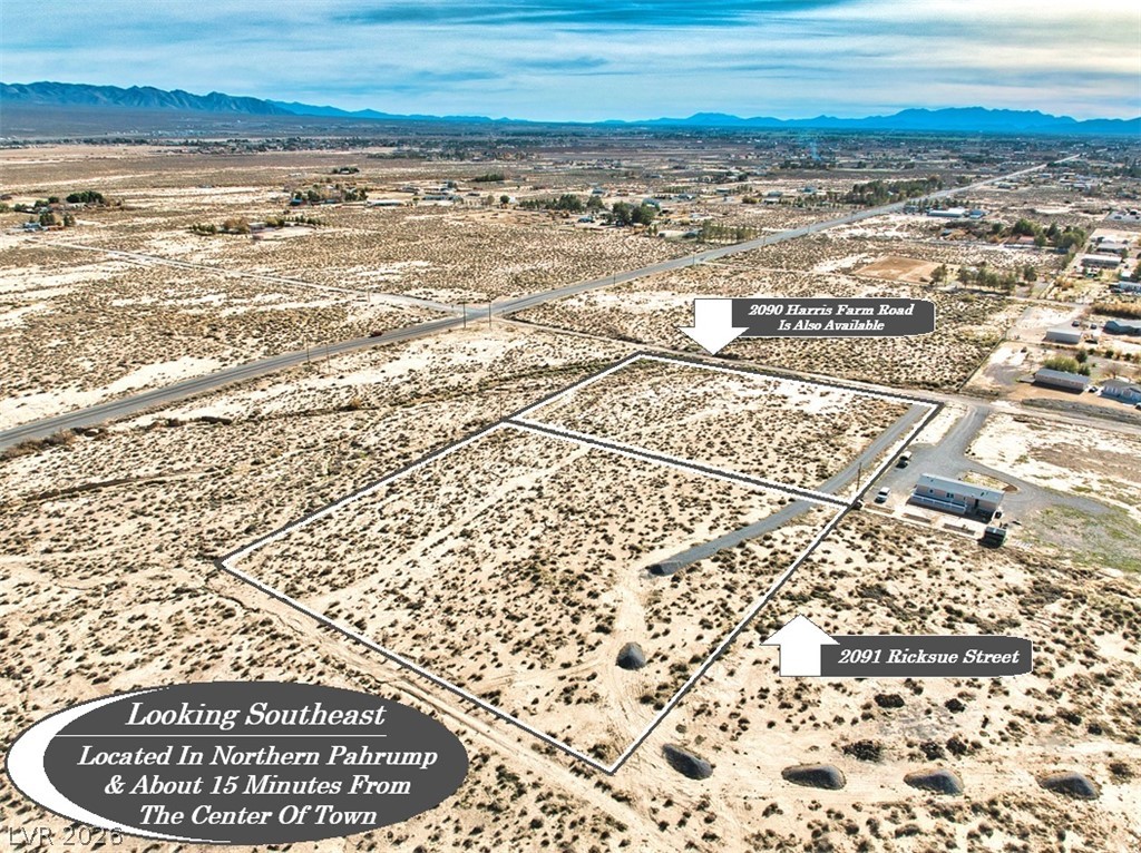 2091 Ricksue Street Pahrump, NV 89060 - Photo 7 of 12