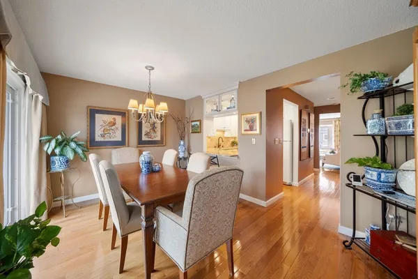 a dining room with furniture potted plants and wooden floor