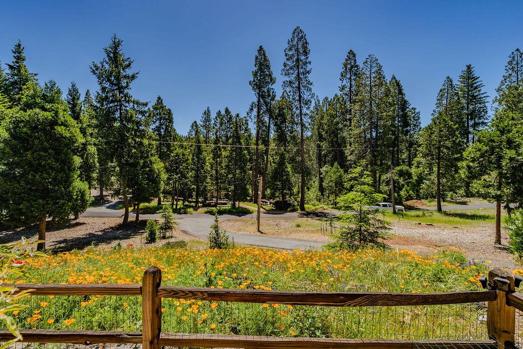 26845 Spring Court Pioneer, CA 95666 - Photo 48 of 89