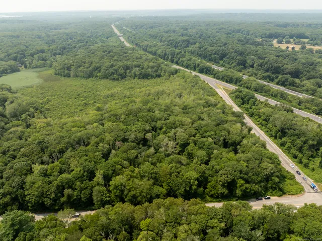 an aerial view of forest