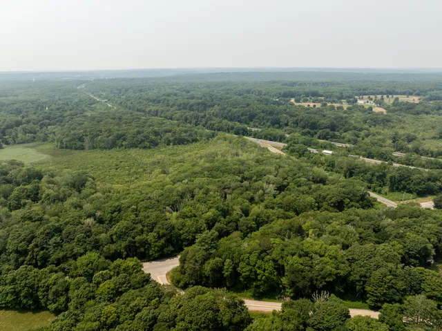 a view of a green field with lots of bushes