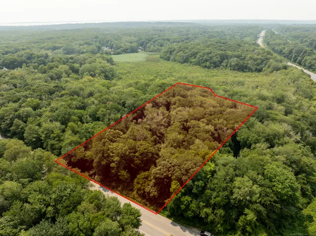 a view of a green field with lots of bushes