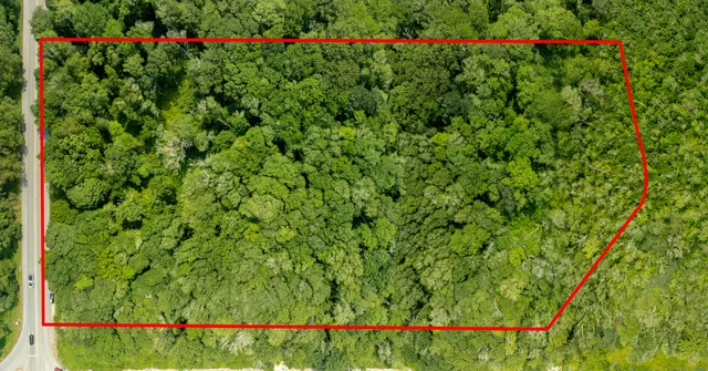 a view of a garden with flowers