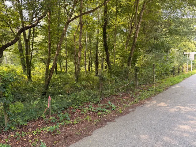 a big yard with lots of green space and trees