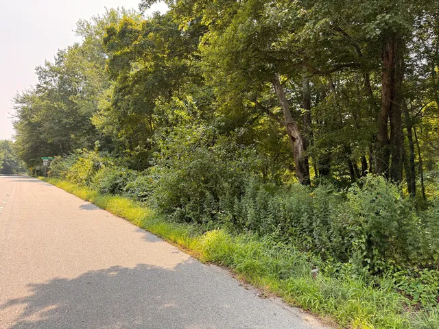 a view of a yard with a tree