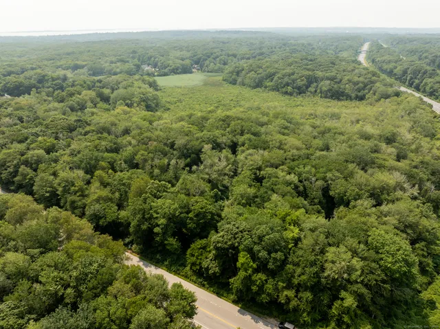 a view of a green field with lots of bushes