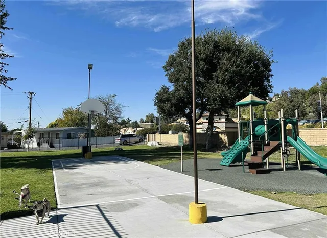a view of a park with potted plants