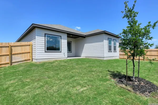 a backyard of a house with plants and large tree