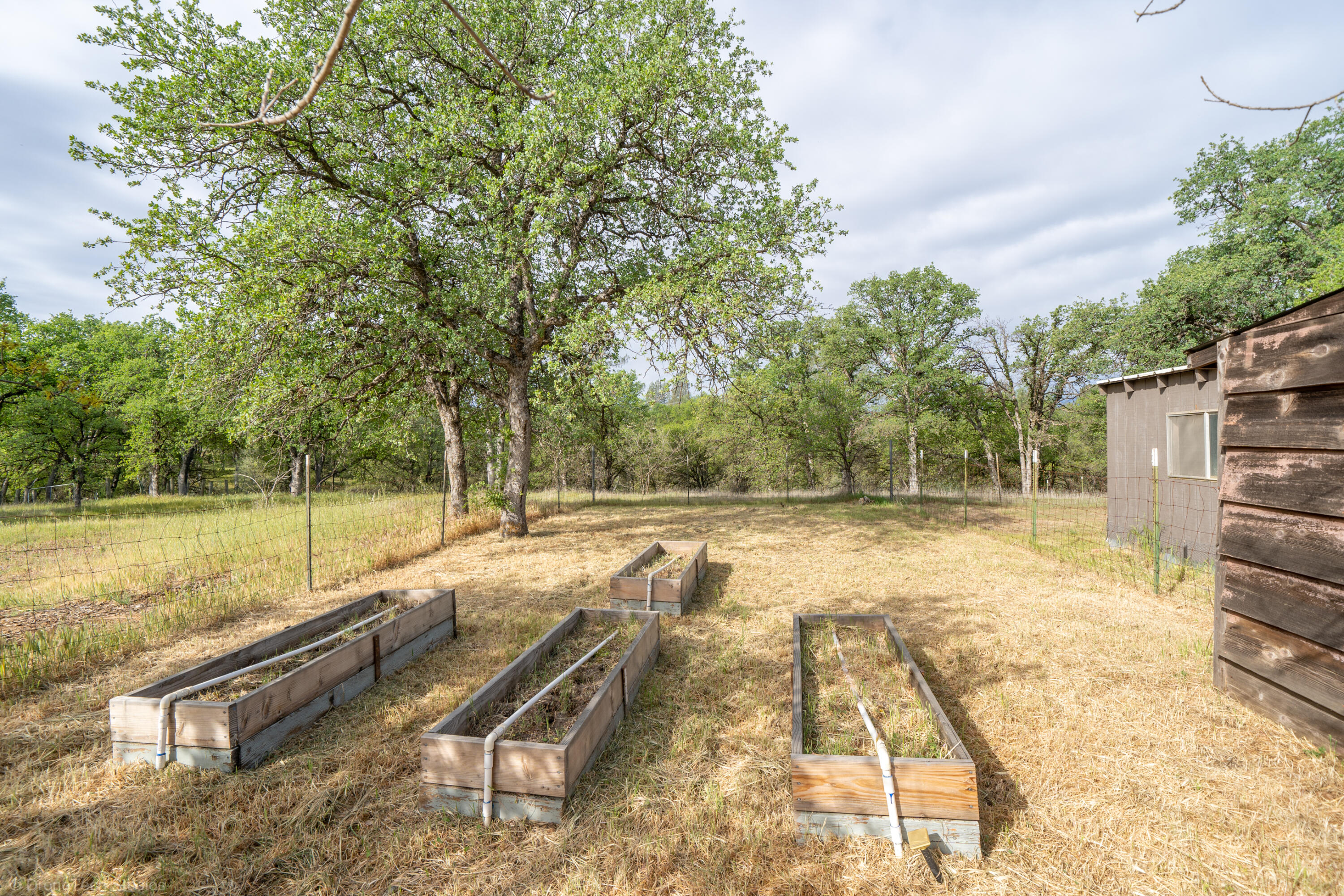 19110 Olinda Road Anderson, CA 96007 - Photo 34 of 36 19110 Olinda Rd-56
