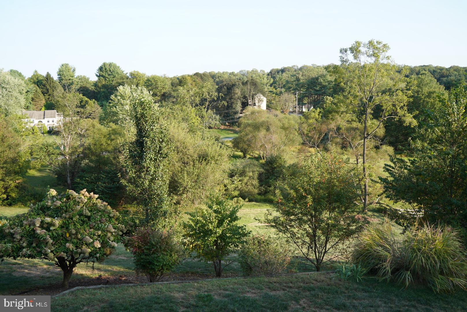 380 Styer Road Glenmoore, PA 19343 - Photo 19 of 33 Serene landscape with lush greenery.