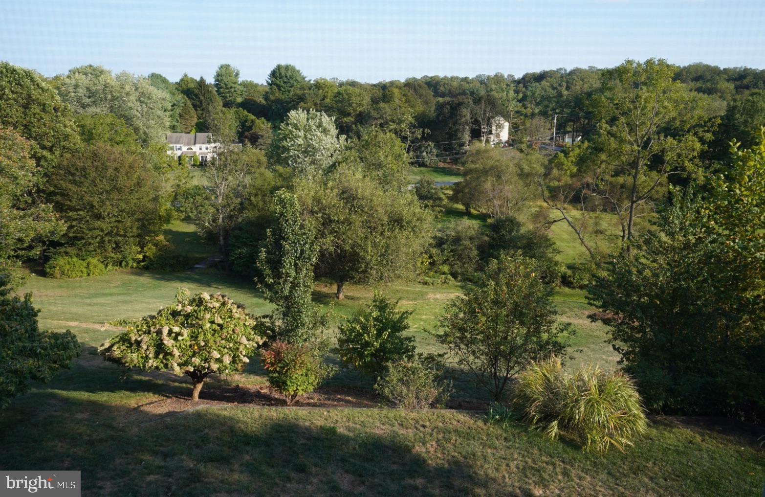 380 Styer Road Glenmoore, PA 19343 - Photo 20 of 33 Lush greenery in a serene landscape.