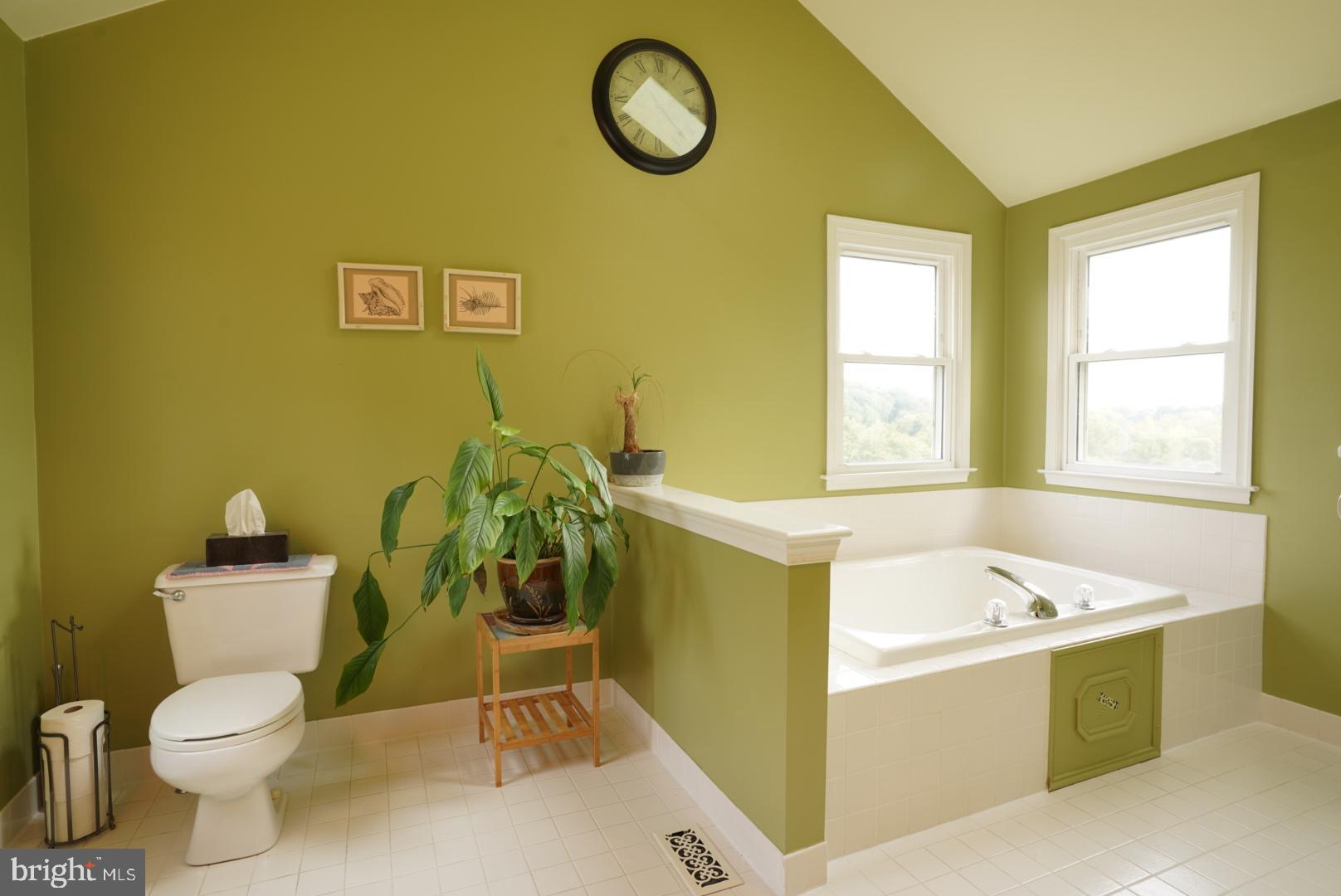 380 Styer Road Glenmoore, PA 19343 - Photo 28 of 33 Serene green bathroom with natural light.