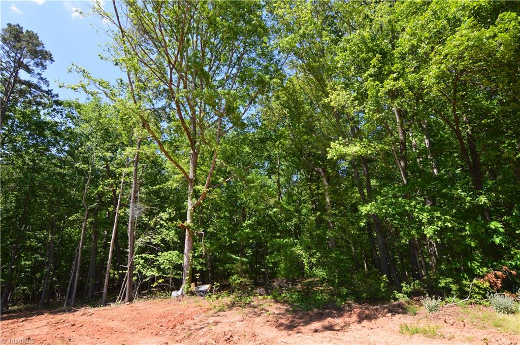 5855 Kinney Road Lewisville, NC 27023 - Photo 14 of 16 Gallery Image 14