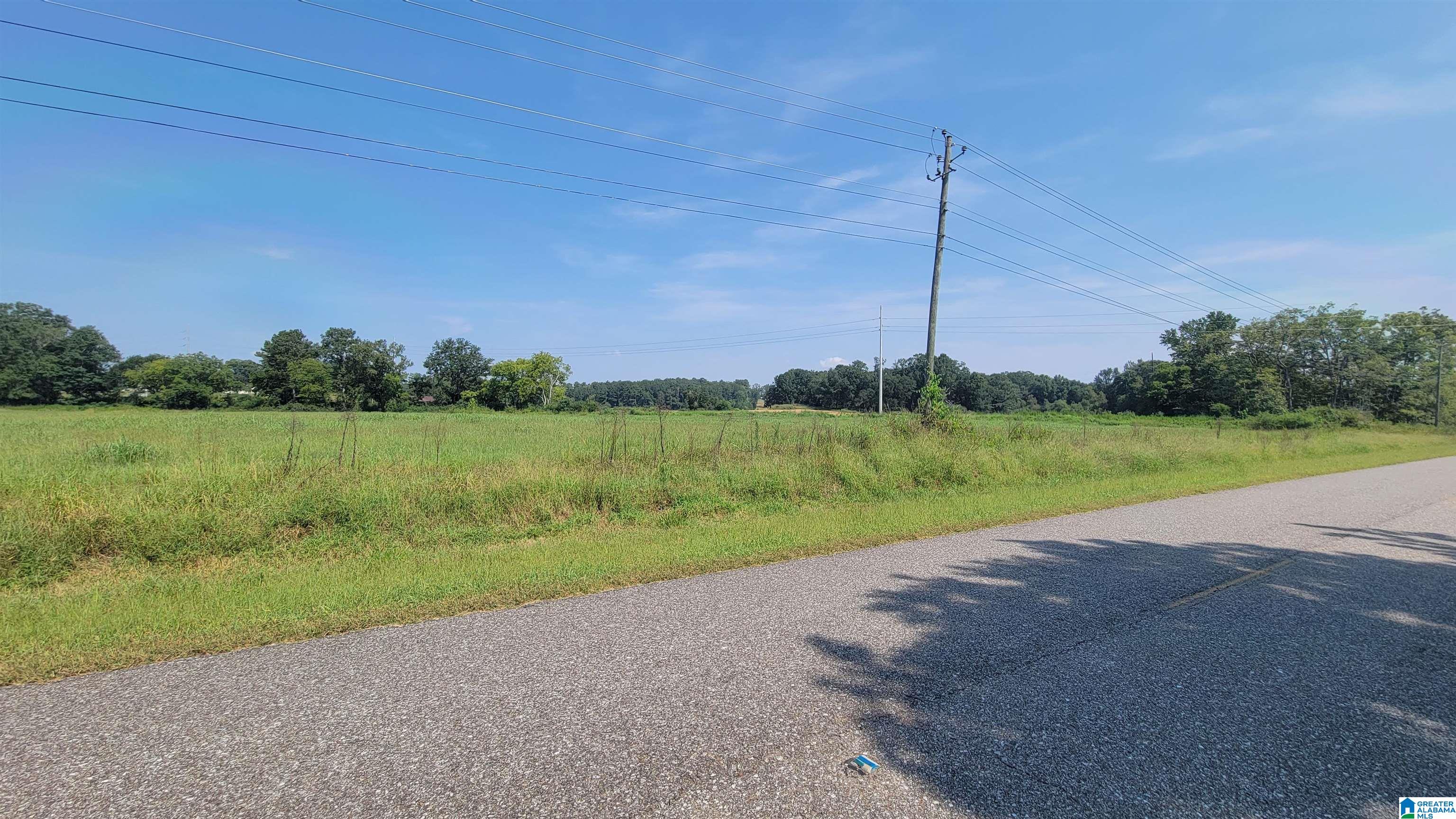 0 Patton Chapel Road, Unit PARCEL 1 Lincoln, AL 35096 - Photo 4 of 6