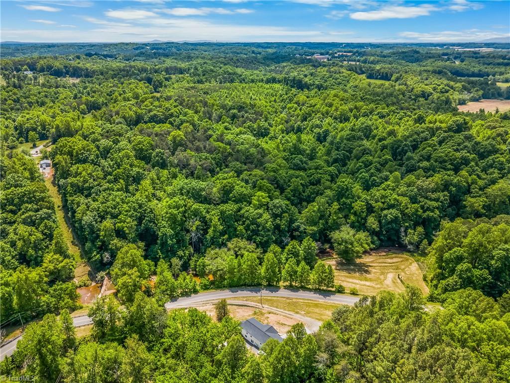 636 Bryant Mill Road Ararat, NC 27007 - Photo 33 of 35