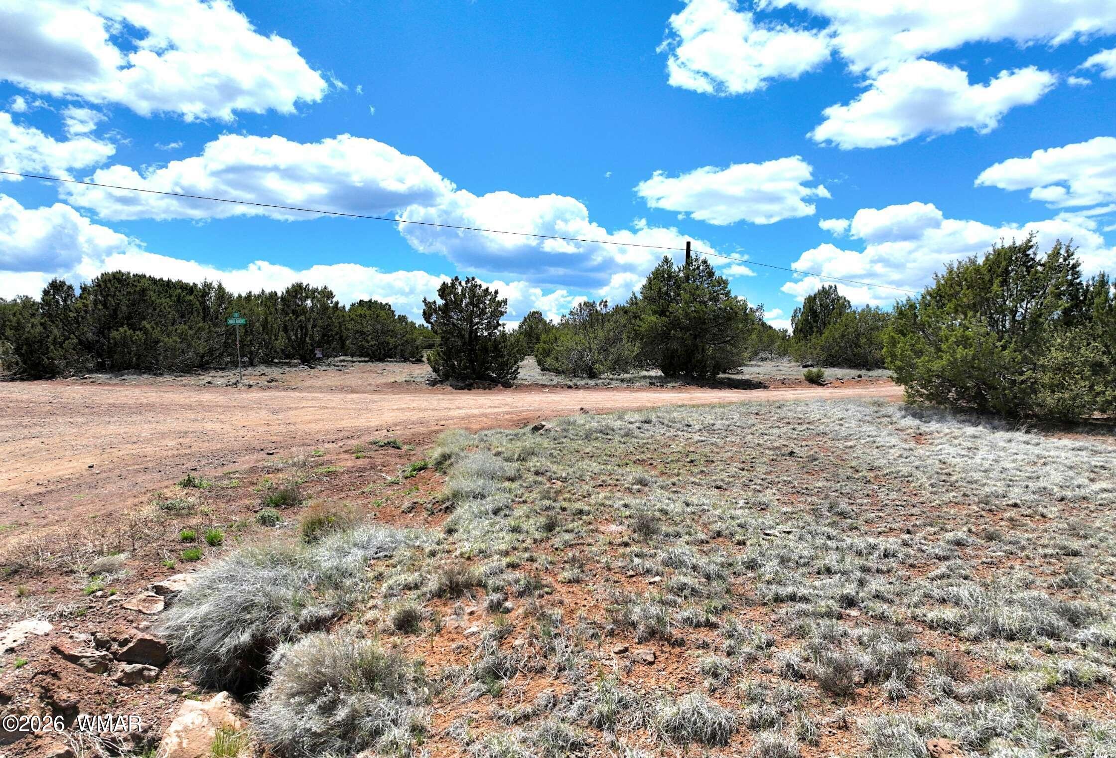9184 D Chimisa Ranch Road Show Low, AZ 85901 - Photo 5 of 15 SE corner of property looking south