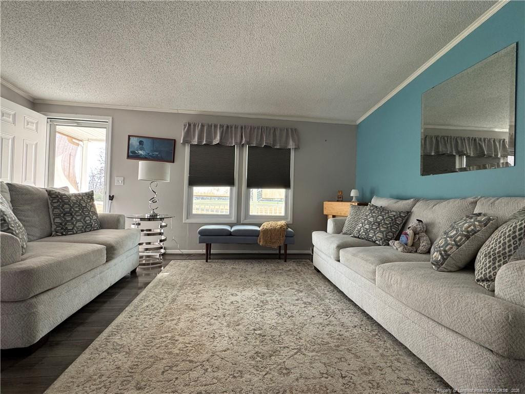 100 L Wallace McClean Road Raeford, NC 28376 - Photo 10 of 38 a living room with furniture and a window