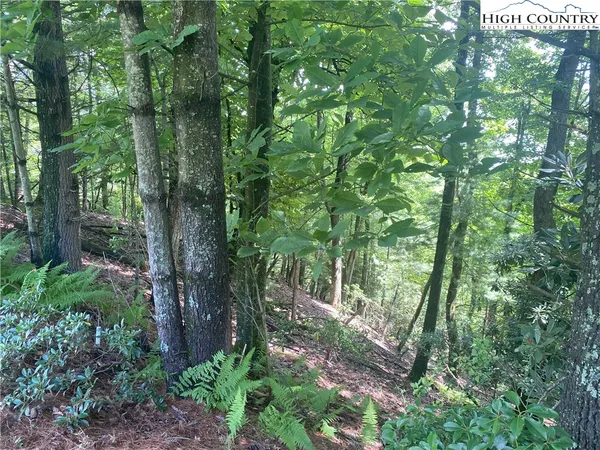 $49,000 | Sunningdale Court, Unit 142, Thurmond, NC 28683