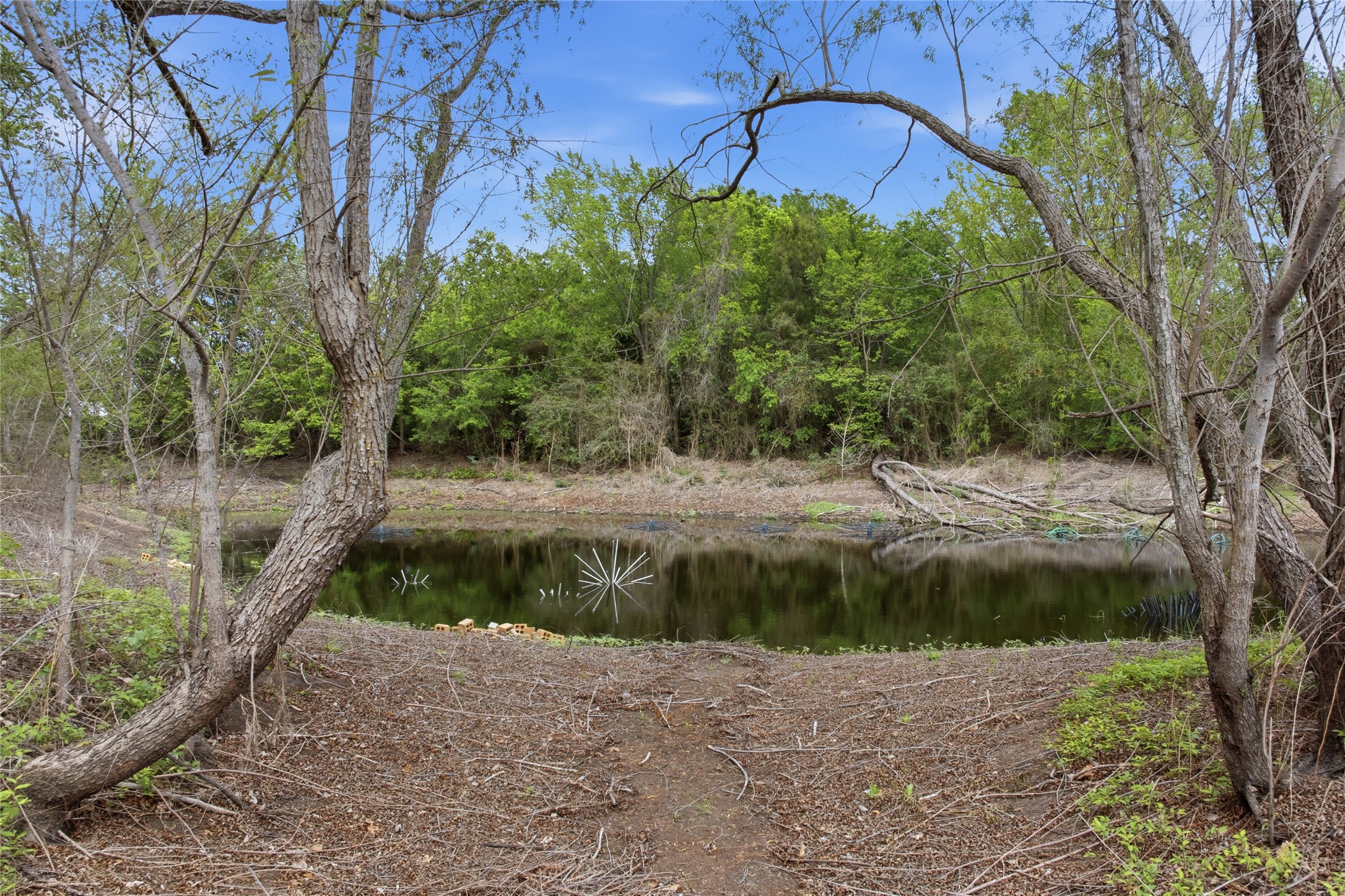 224 Old Coach Lane Elgin, TX 78621 - Photo 24 of 25 Water view