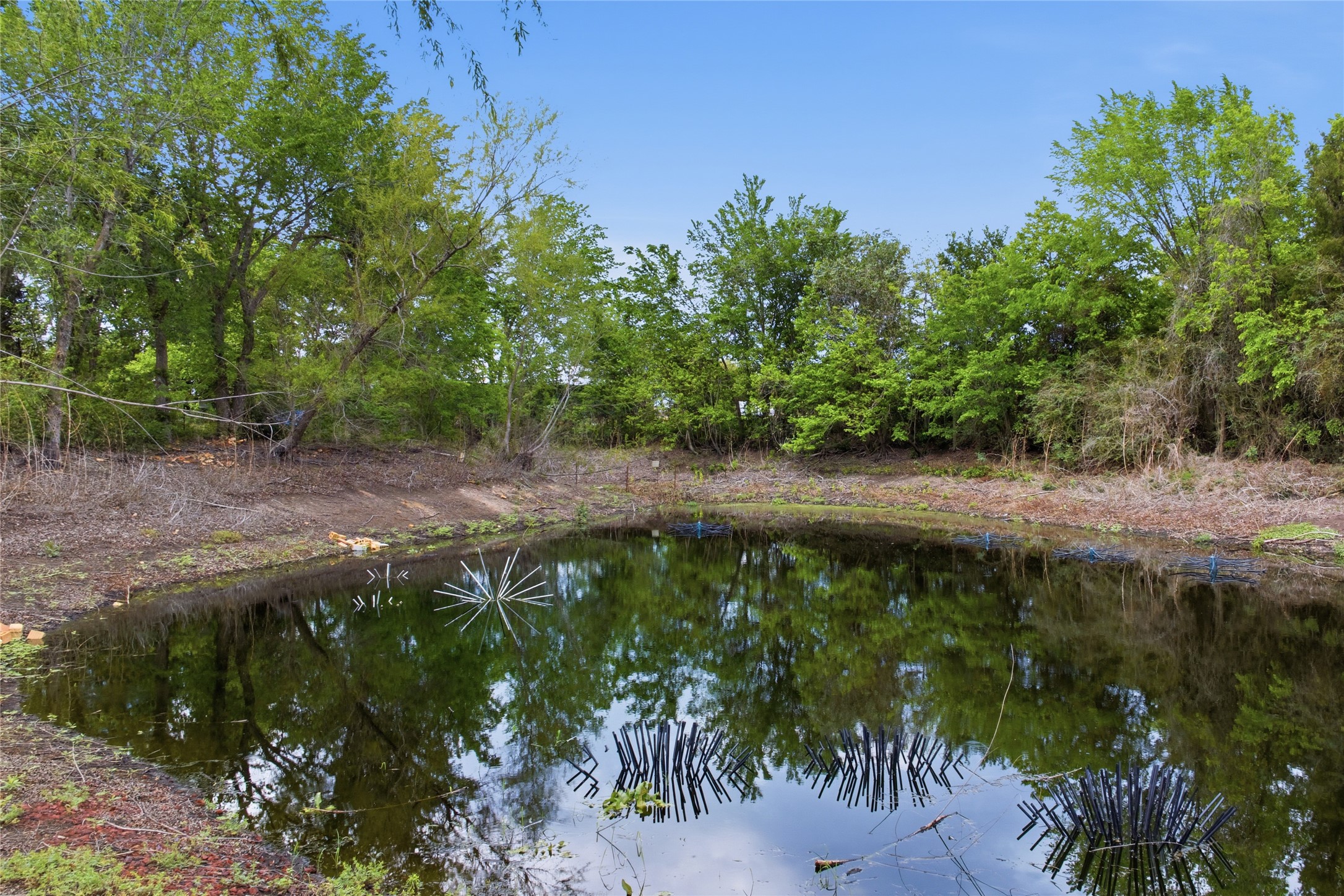 224 Old Coach Lane Elgin, TX 78621 - Photo 25 of 25 Water view