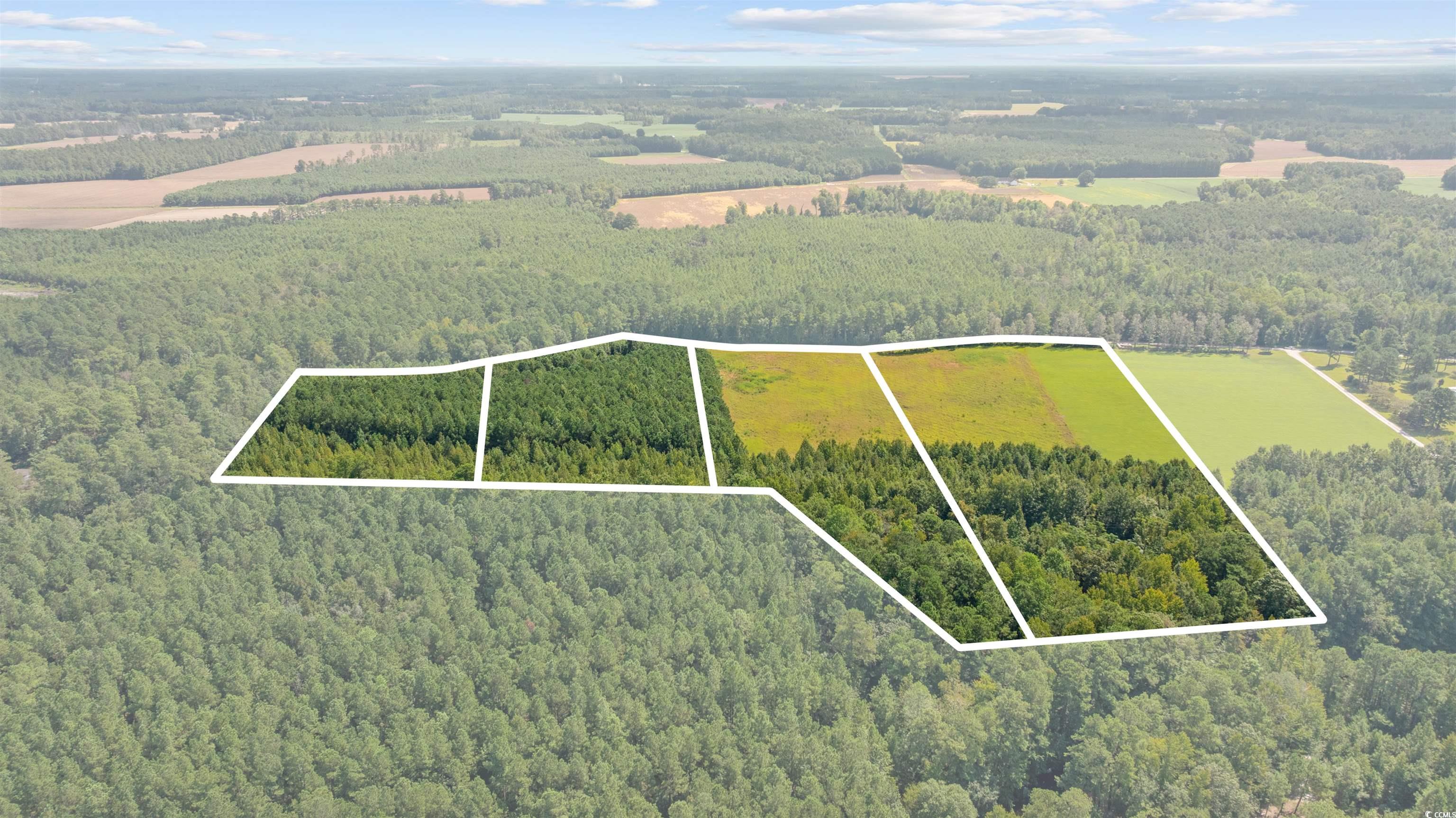 Lot 1 Womack Road Nichols, SC 29581 - Photo 16 of 20 Gallery Image 16