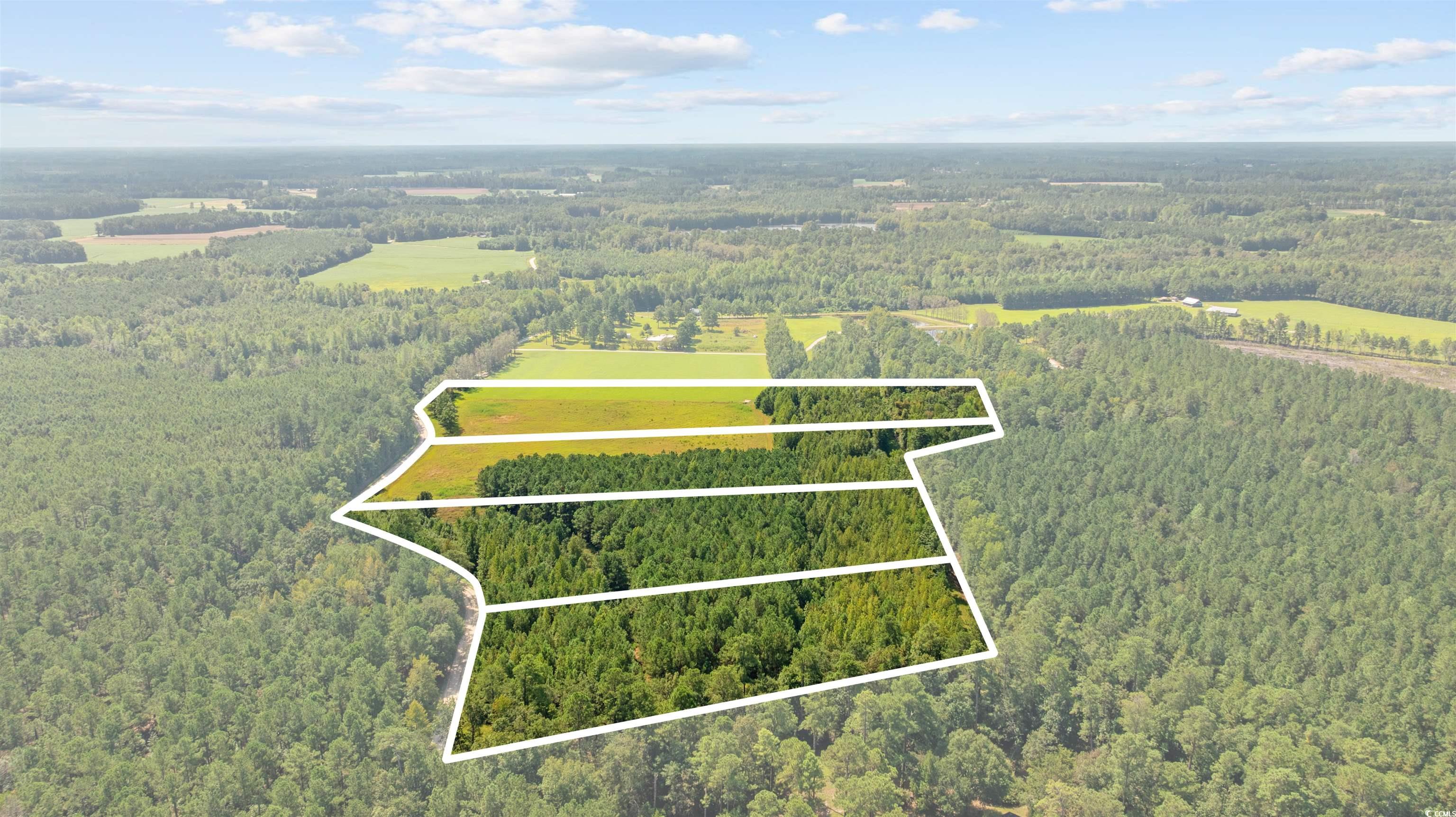 Lot 1 Womack Road Nichols, SC 29581 - Photo 19 of 20 Gallery Image 19