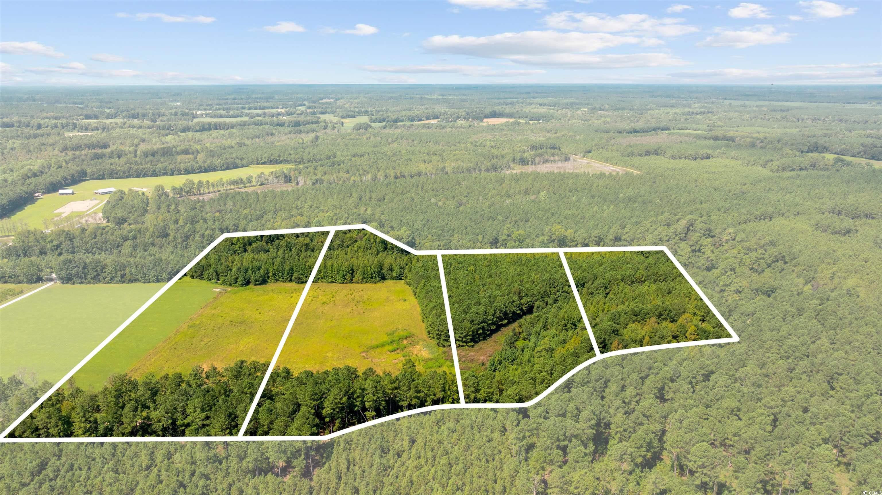 Lot 1 Womack Road Nichols, SC 29581 - Photo 2 of 20 Gallery Image 2