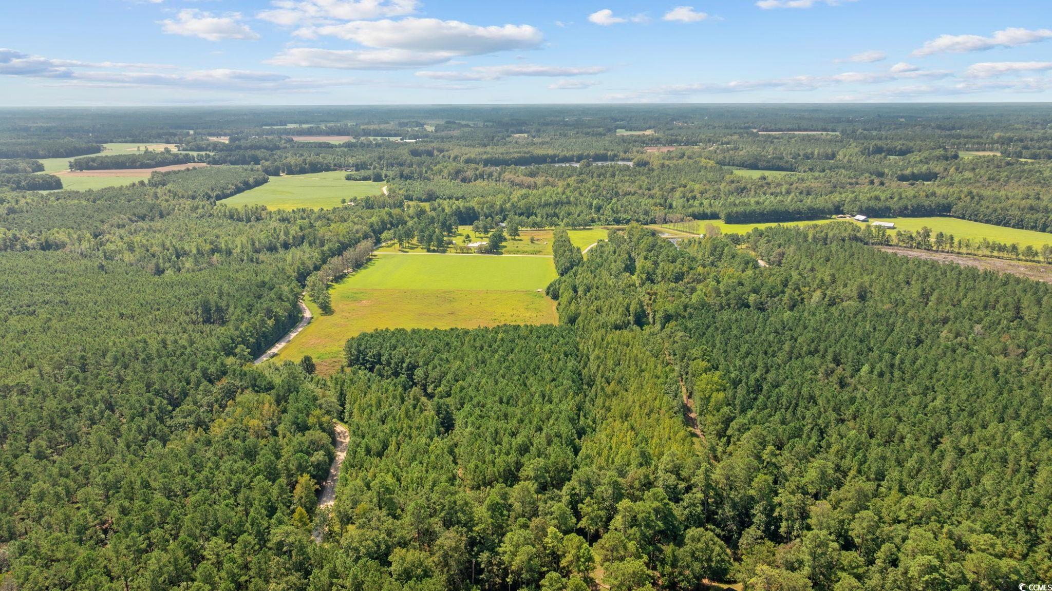 Lot 1 Womack Road Nichols, SC 29581 - Photo 7 of 20 Gallery Image 7