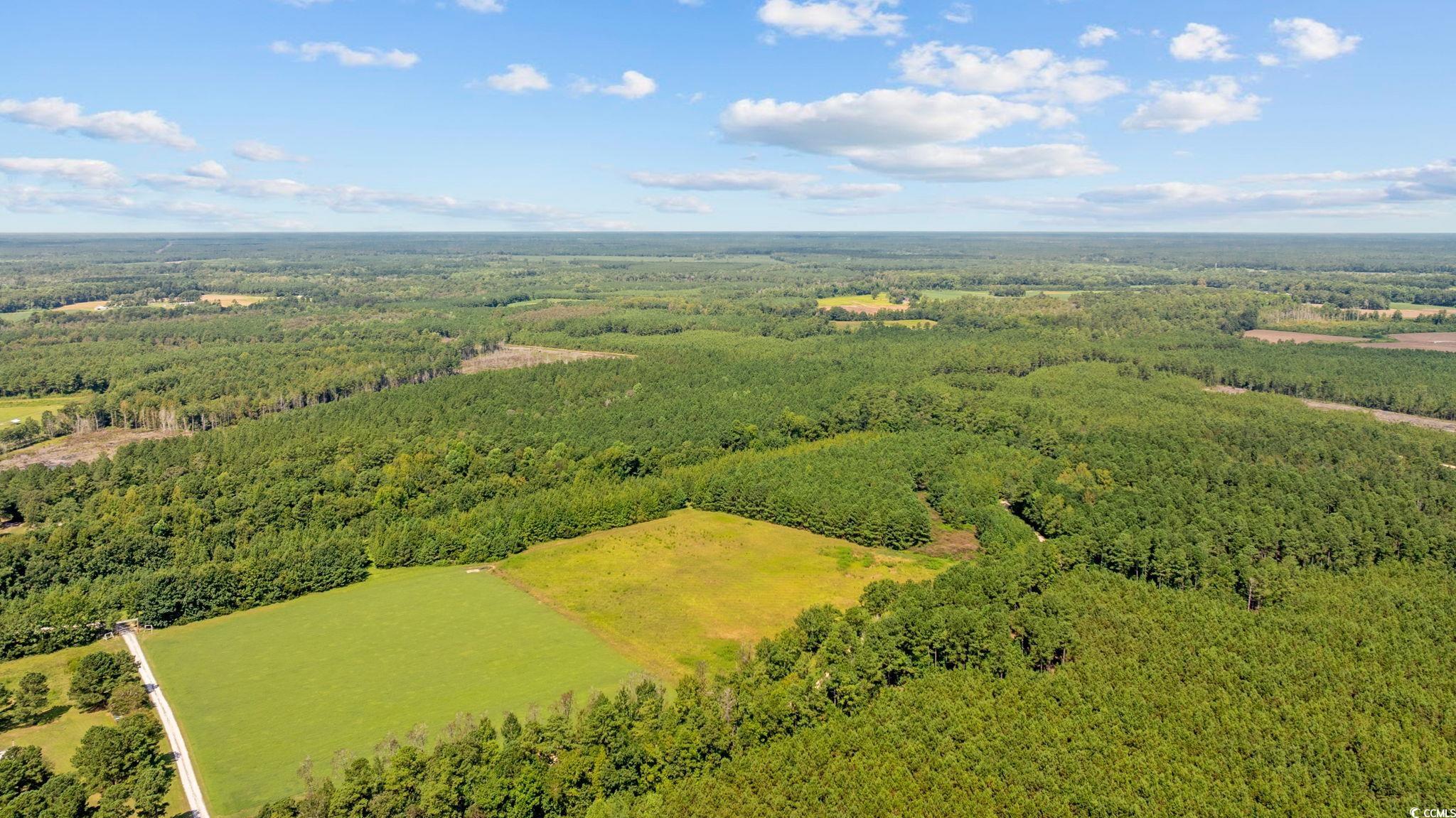Lot 1 Womack Road Nichols, SC 29581 - Photo 10 of 20 Gallery Image 10