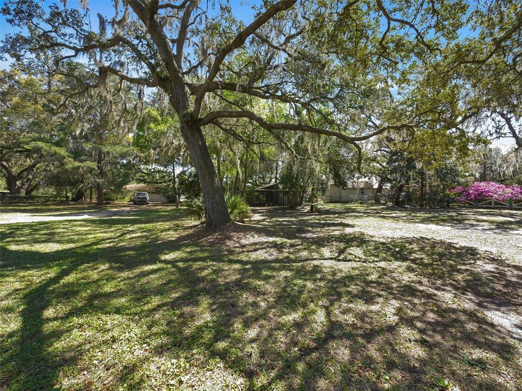 9714 Southeast 110th Street Road Belleview, FL 34420 - Photo 31 of 47