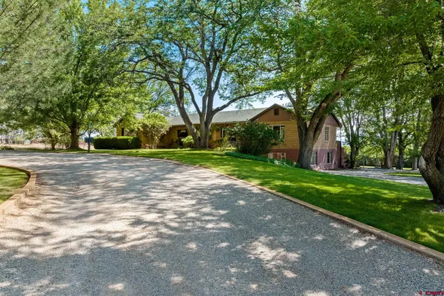 a living room with furniture a bookshelf and a window