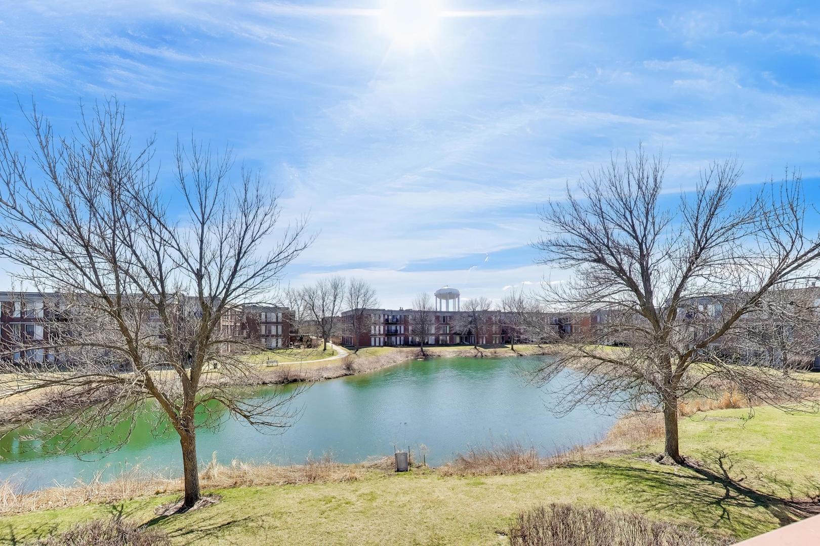 432 Kelburn Road, Unit 223 Deerfield, IL 60015 - Photo 22 of 24