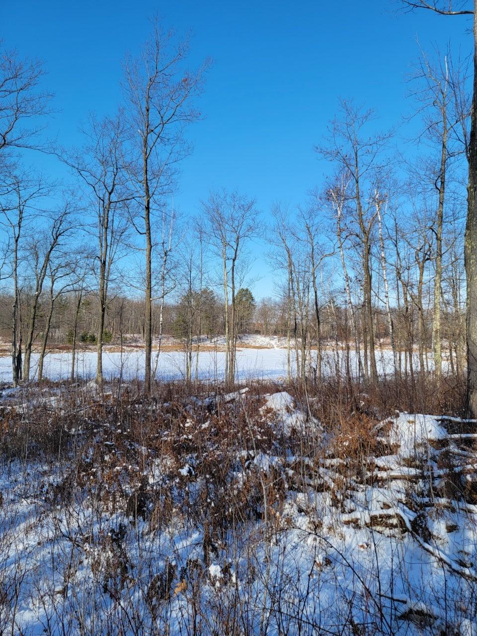 On Rollingwood Road Stone Lake, WI 54876 - Photo 5 of 32 Gallery Image 5
