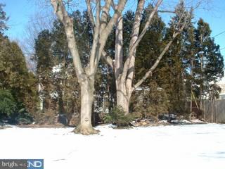 541 Haverford Road Wynnewood, PA 19096 - Photo 6 of 6 Gallery Image 6