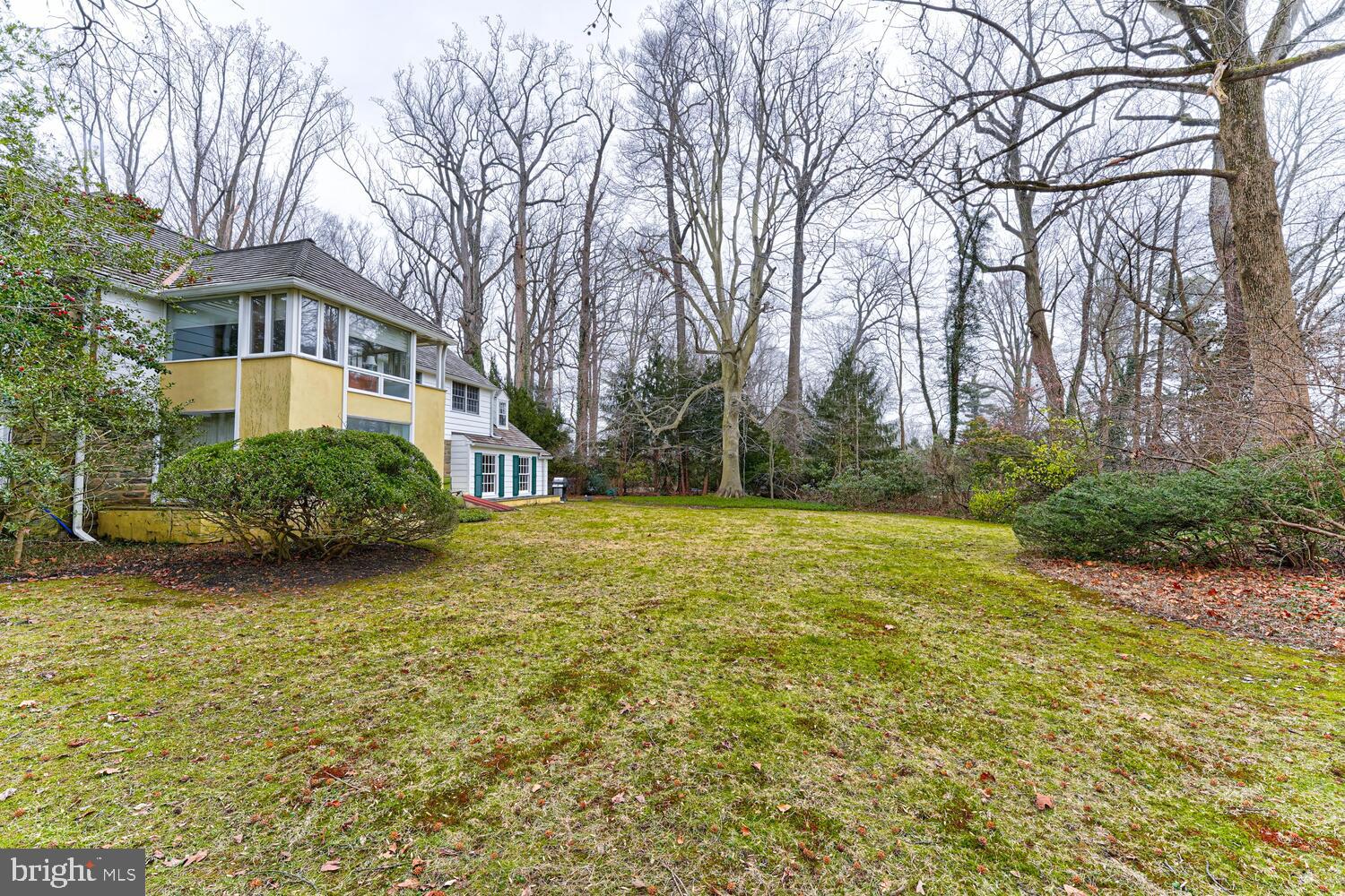 323 Caversham Road Bryn Mawr, PA 19010 - Photo 8 of 52 Great Back Yard !