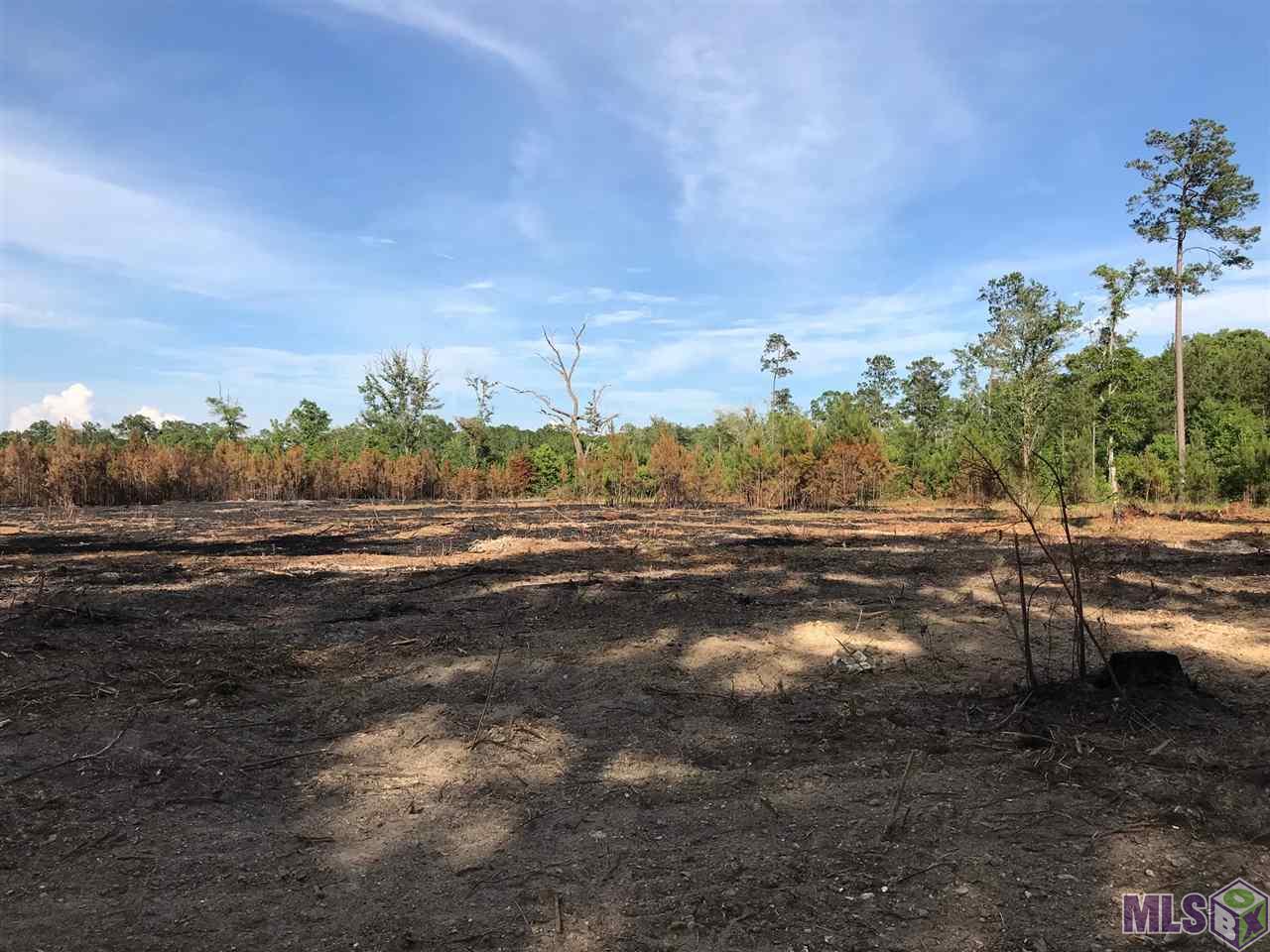 Lot 2 Church Branch Road Springfield, LA 70462 - Photo 11 of 14 Gallery Image 11
