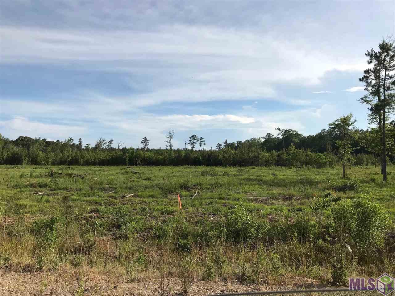 Lot 2 Church Branch Road Springfield, LA 70462 - Photo 13 of 14 Gallery Image 13