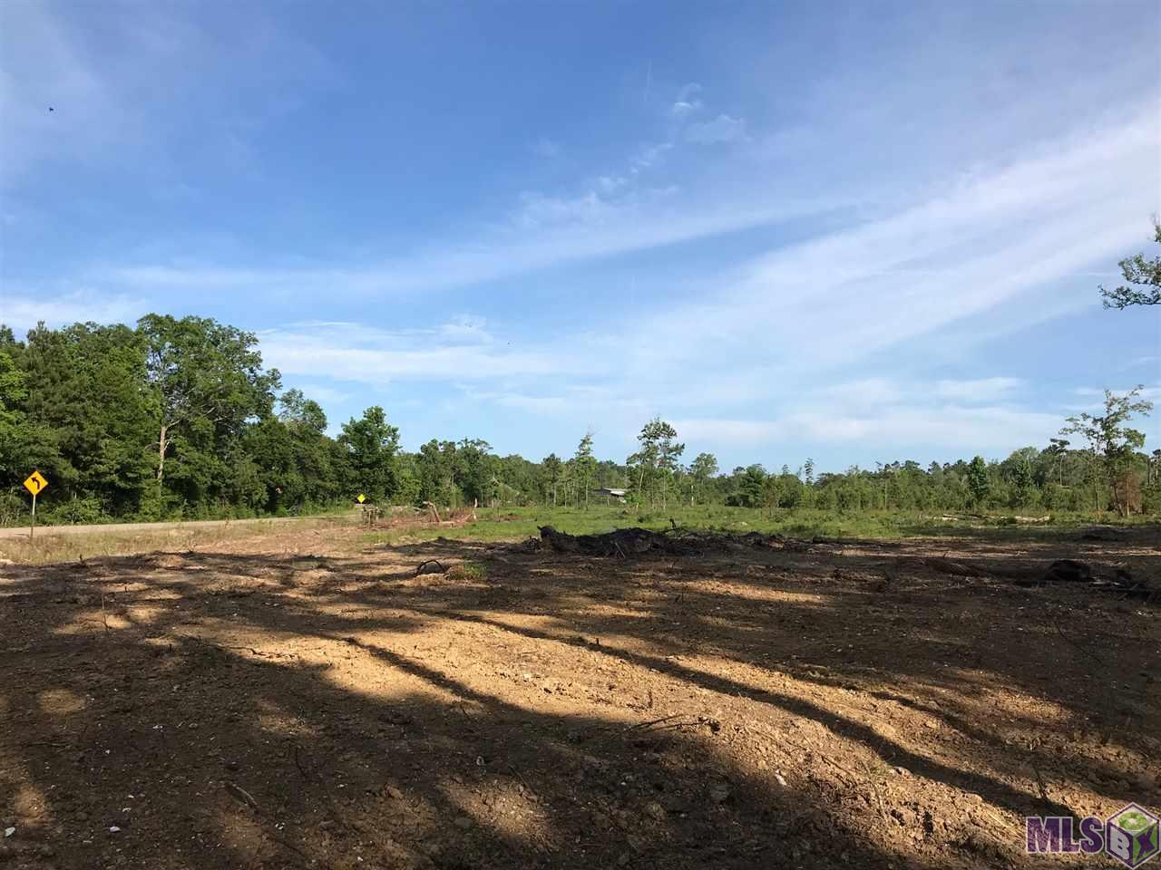 Lot 2 Church Branch Road Springfield, LA 70462 - Photo 3 of 14 Gallery Image 3