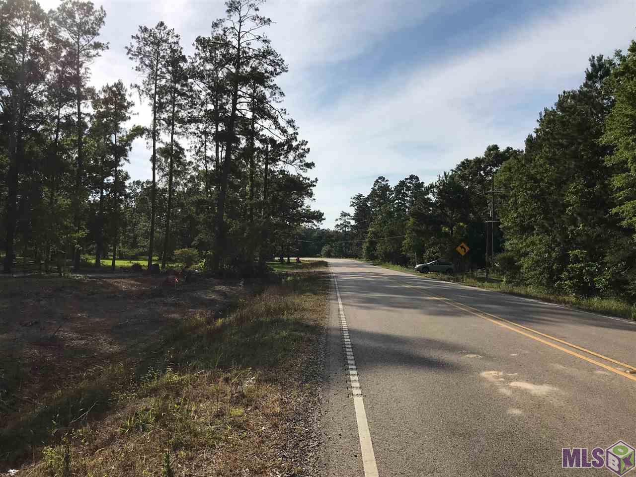 Lot 2 Church Branch Road Springfield, LA 70462 - Photo 6 of 14 Gallery Image 6