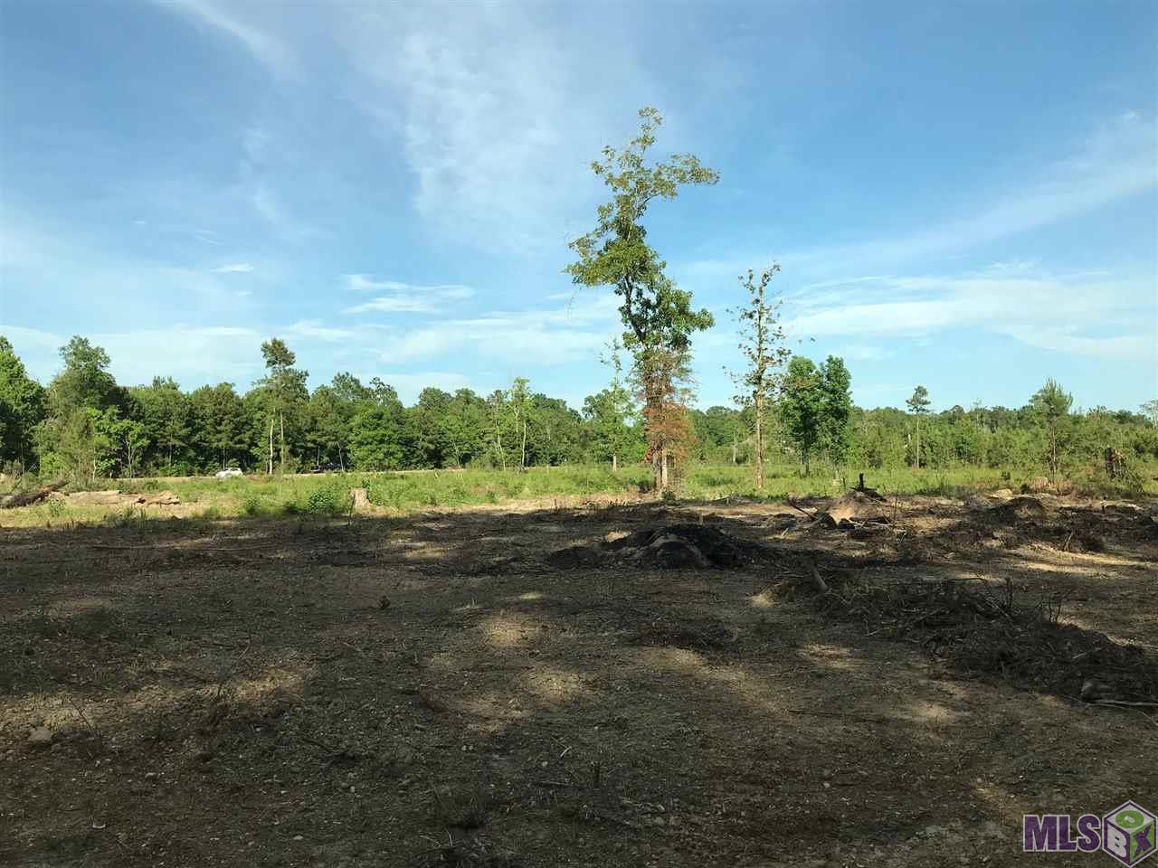 Lot 2 Church Branch Road Springfield, LA 70462 - Photo 7 of 14 Gallery Image 7