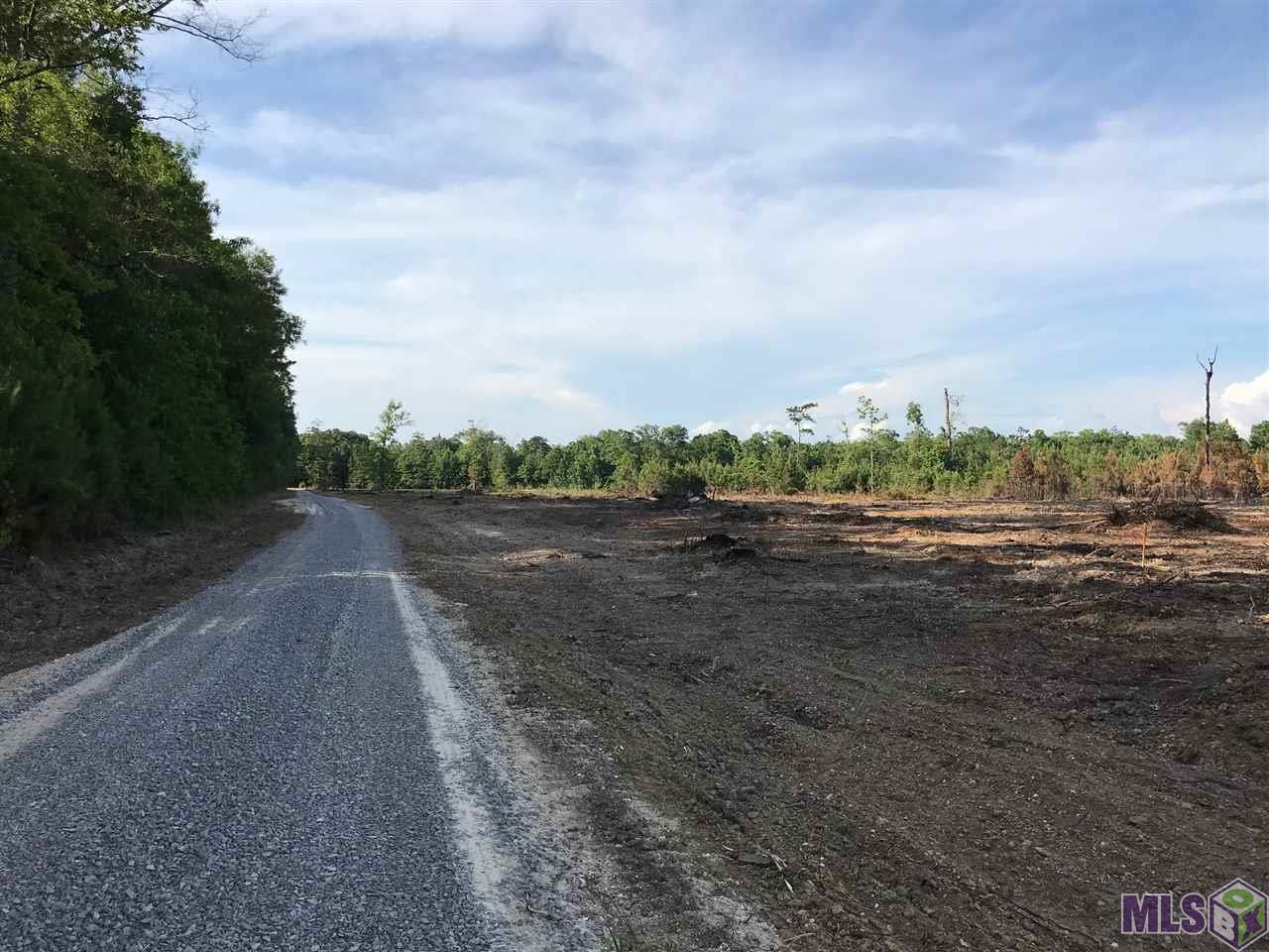 Lot 2 Church Branch Road Springfield, LA 70462 - Photo 10 of 14 Gallery Image 10