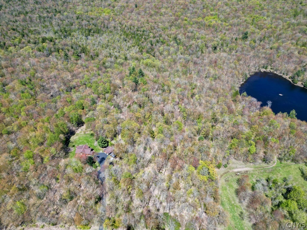 0 North Hillsborough Road Camden, NY 13316 - Photo 10 of 16