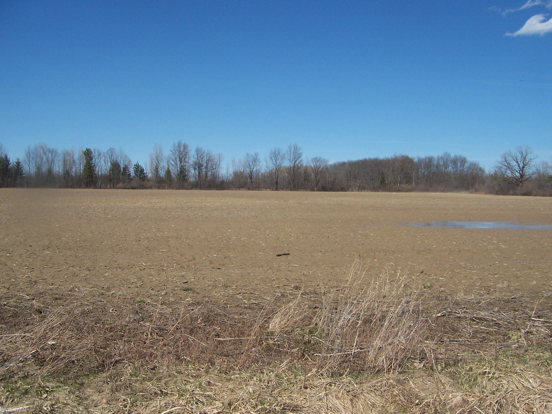 Lot 2 Beard Road Avoca, MI 48006 - Photo 1 of 2